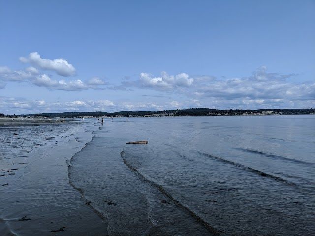 Double Bluff Beach and Off Leash Area
