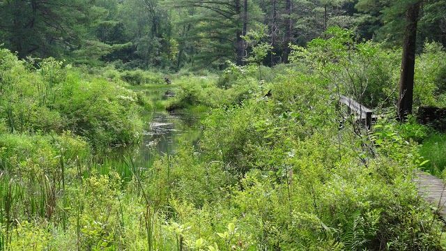 Mass Audubon's Pleasant Valley Wildlife Sanctuary