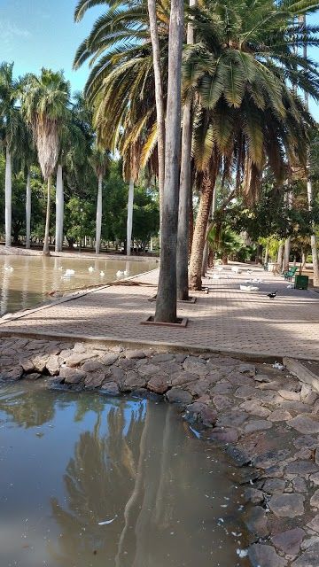 Benjamin Francis Johnston Botanical Garden