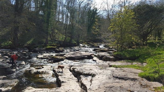 Stenkrith Park