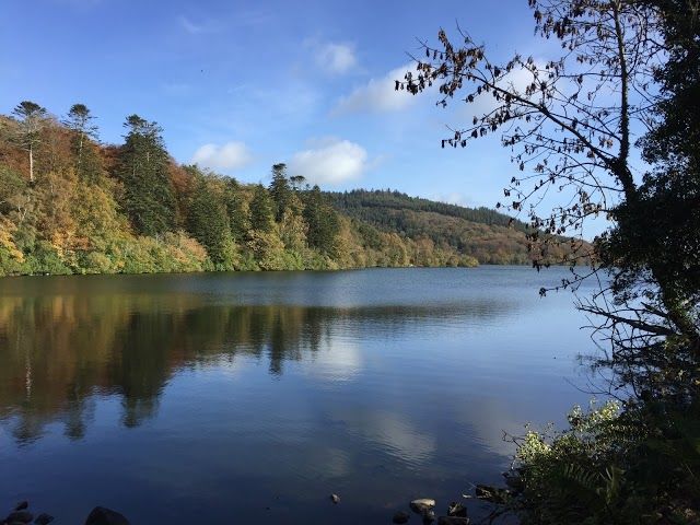 Castlewellan Forest Park