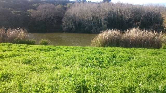 Majik Forest Upper Entrance