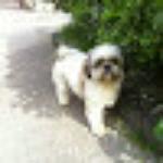 Room Service Restaurant Lounge