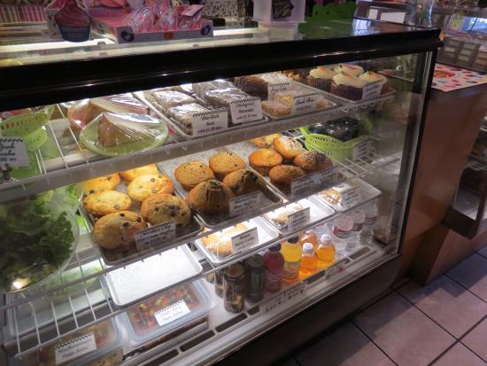 Chocolate Iguana On 4th