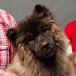 Salvatore's Italian and American Bistro