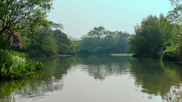 Xixi National Wetland Park