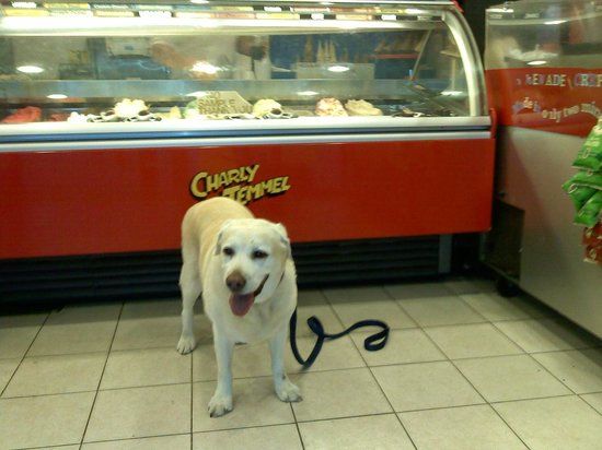 Charly Temmel Ice Cream