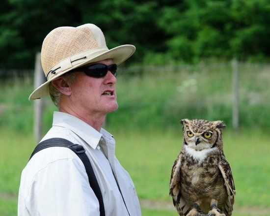 North East Falconry Centre