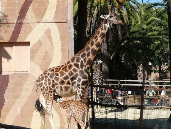 Parc zoologique et botanique