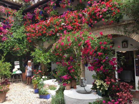 Patios de Cordoba