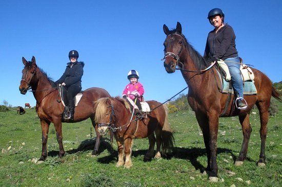 Riding Fun In The Sun