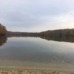 Hale and Hearty Soups