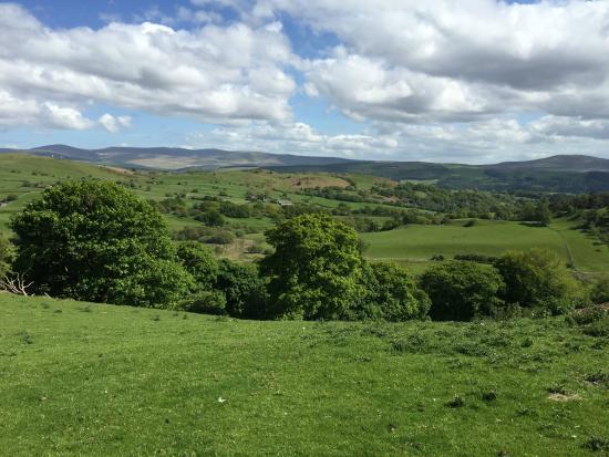 Caerau Uchaf Gardens