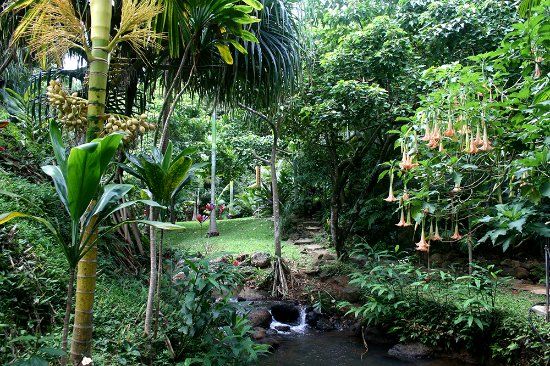 Princeville Botanical Gardens