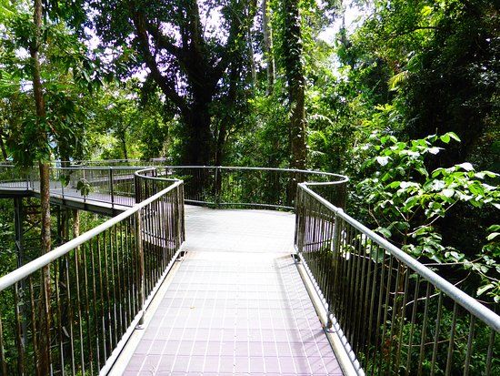 Mamu Tropical Skywalk