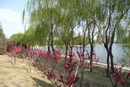 Parque de Chaoyang