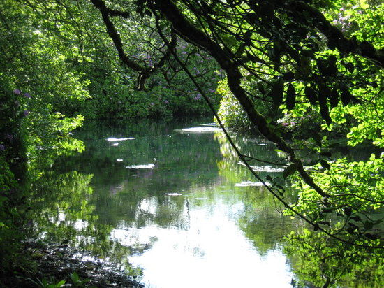 Balade Cloghereen Blue Pool Walk