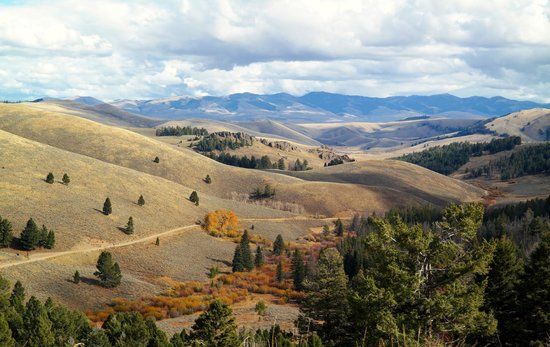 Meriwether Lewis' August 12