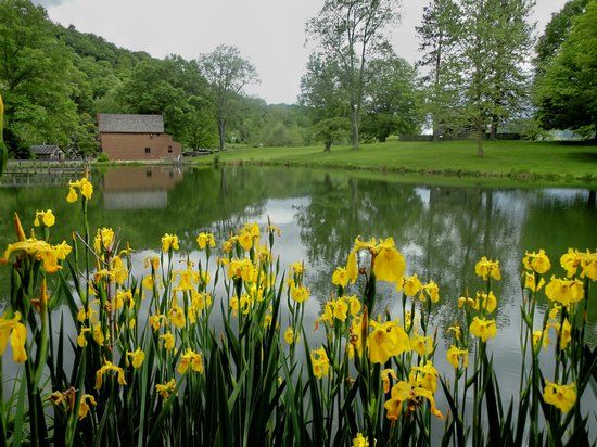 WVU Jackson's Mill Farmstead