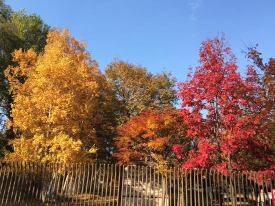 Hokkaido University Agricultural Department Farm 2