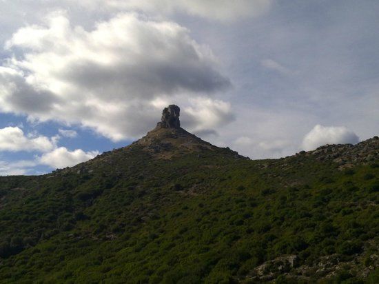 Foresta di Montarbu