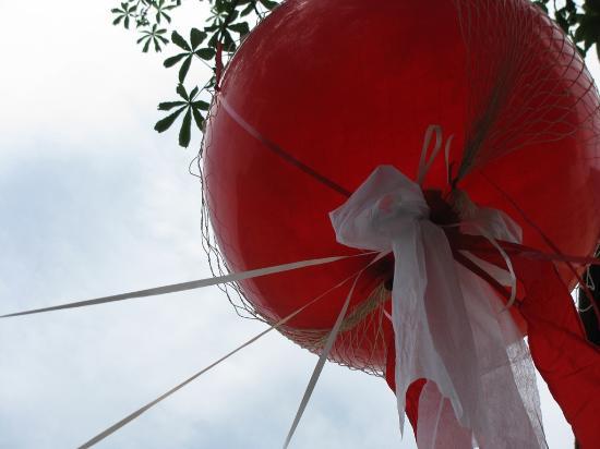 Azienda Agricola Il Maggiociondolo