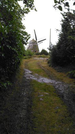 Kvarnen i Trönningenäs