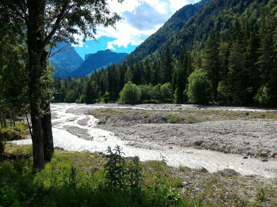 Foresta Millenaria di Tarvisio