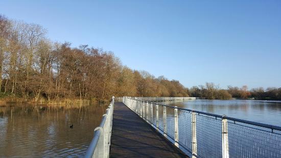 Ifield Mill Pond and Bewbush Water Gardens