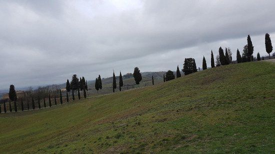 Parco di Canonica