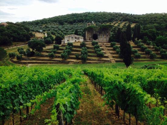 Centro Ippico Il Felciaino