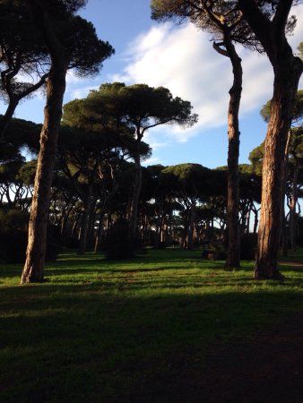 La Pineta di Fregene