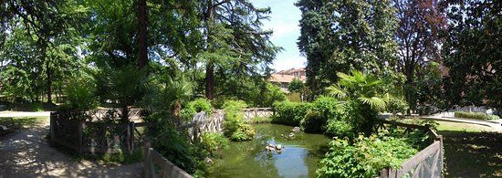 Comune Di Pinerolo Museo Di Scienze Naturali