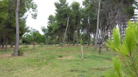 Riserva naturale Pineta di Santa Filomena