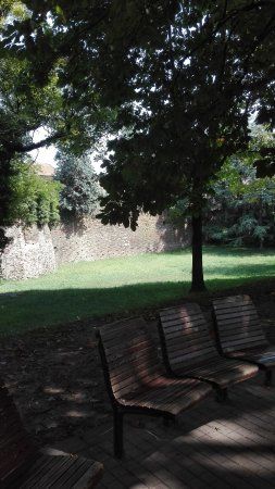 Campo di Marte