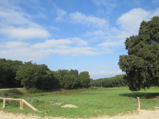 Parc del Montnegre i el Corredor