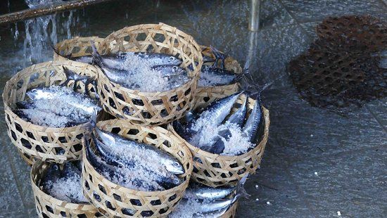 Fish Market Kusamba
