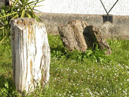 MAP - Museo Archeologico e Paleobotanico di Perfugas