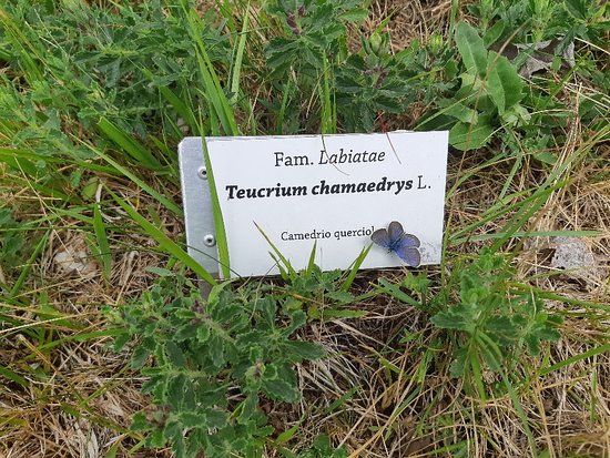 Orto Botanico di Novezzina