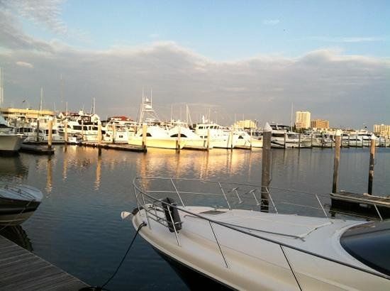 The Deck Bayfront Bar & Restaurant