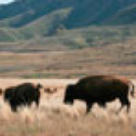 Clyde's & Costello's