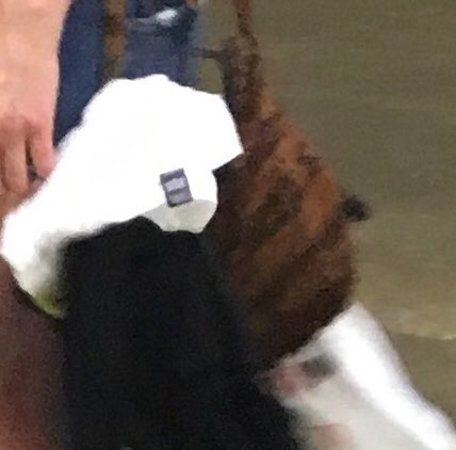 Mid-Hudson Civic Center