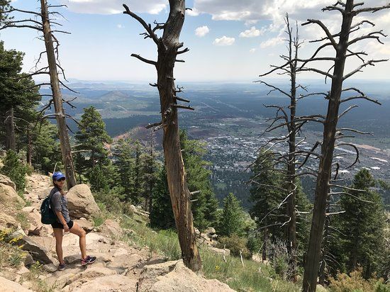 Elden Lookout Trail No. 4