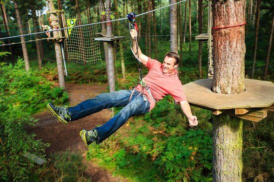 Go Ape at Coed y Brenin