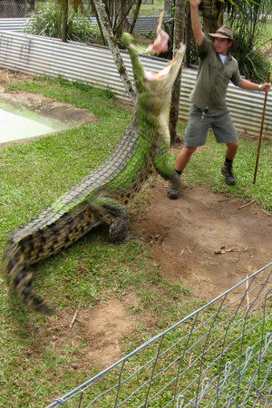 Johnstone River Crocodile & Animal Park