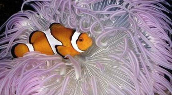 Parc Aquarium Les naiades