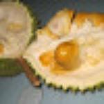 Yellowstone Valley Steakhouse