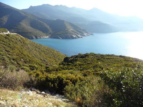 Friendly Corsica