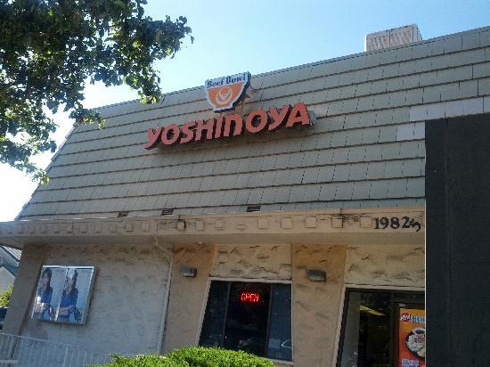 Yoshinoya Beef Bowl