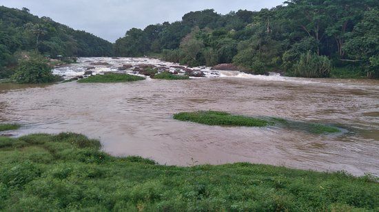 Vattathil Water Falls
